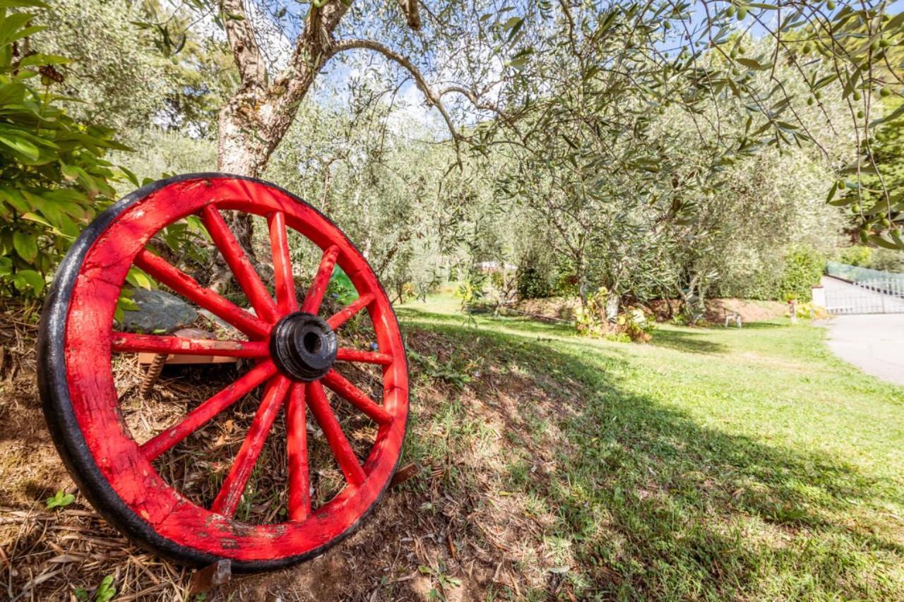 Al Giardino Degli Ulivi Pensionat Santa Maria Albiano Exteriör bild