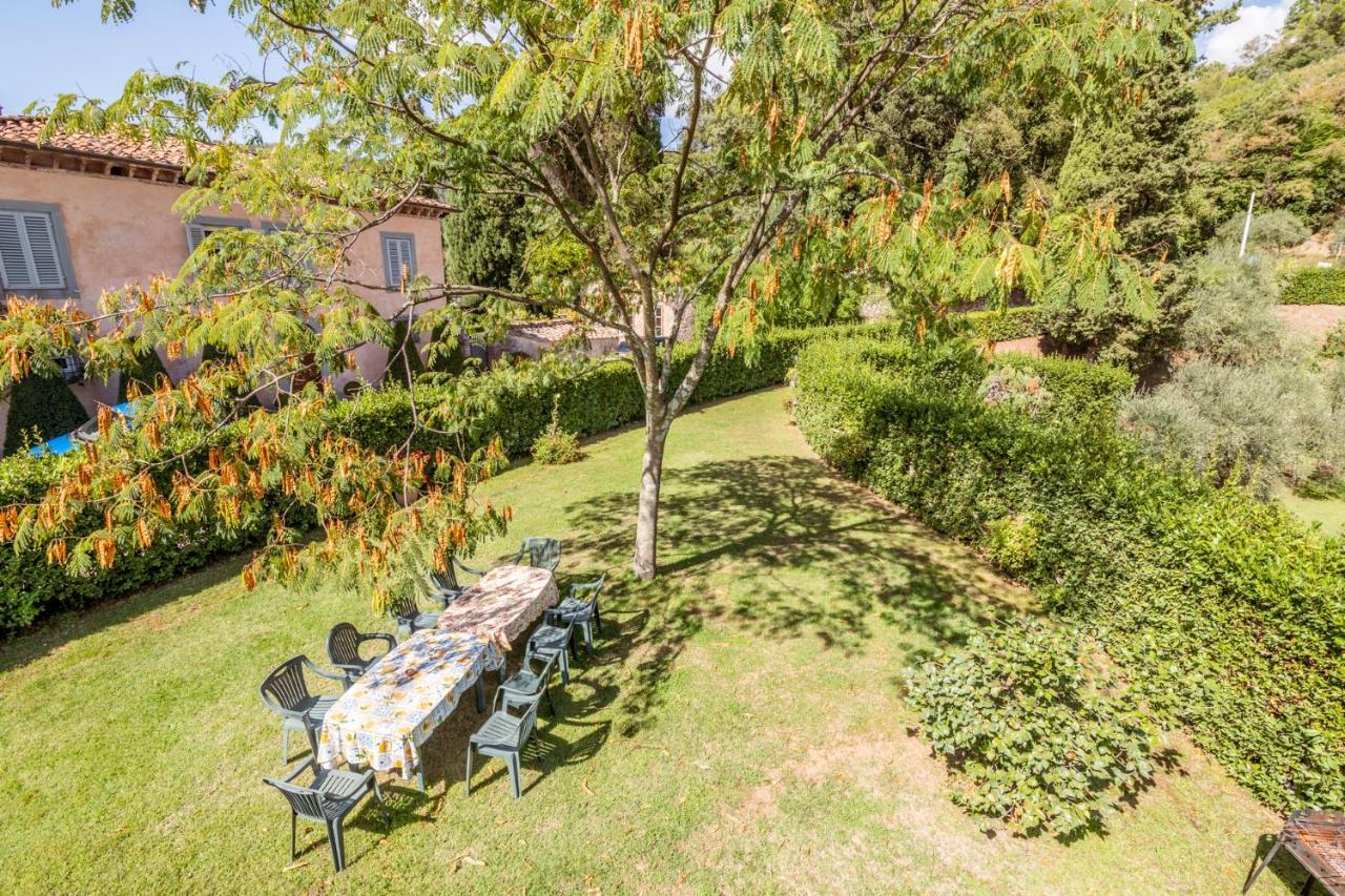 Al Giardino Degli Ulivi Pensionat Santa Maria Albiano Exteriör bild